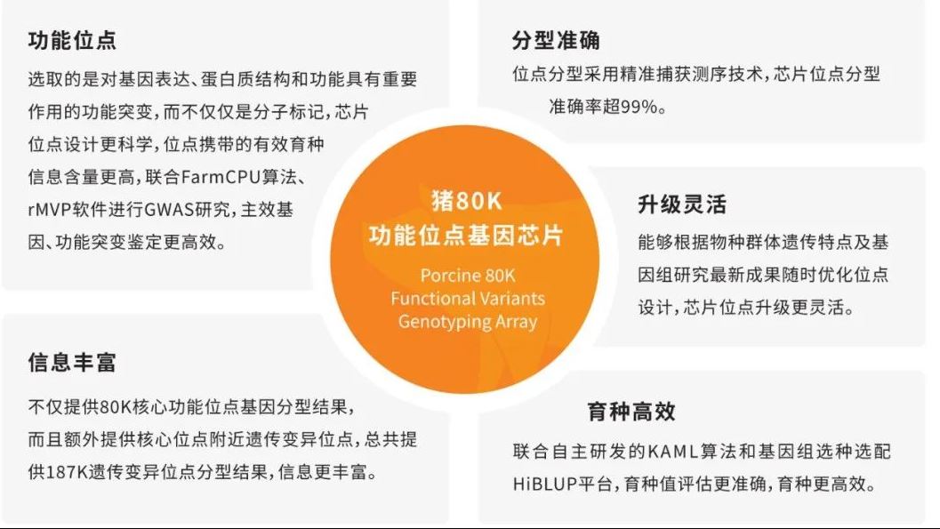 影子基因，提供功能位点基因芯片育种整体解决方案 (全)