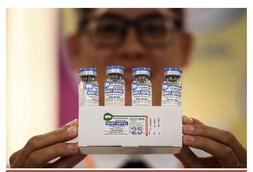菲律宾获越南非瘟疫苗独家代理权！“成功经验”能否复制？