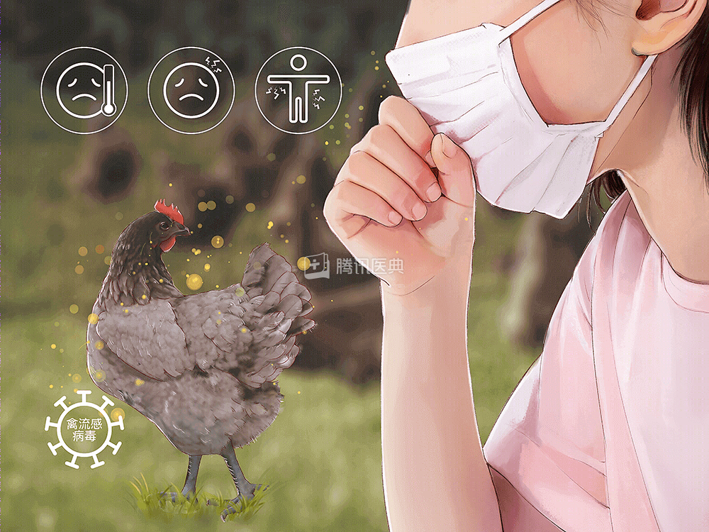 土耳其两省暴发禽流感 已扑杀约650万只家禽