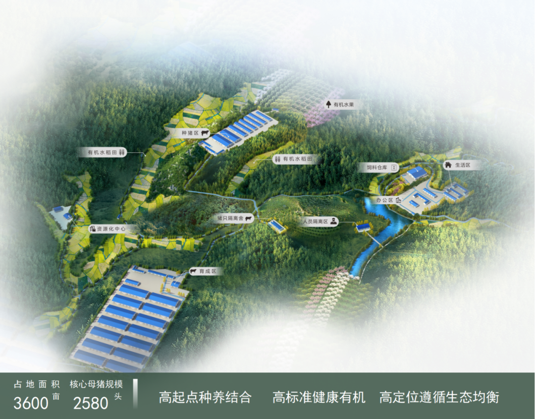 生物安全标杆！永诚集团占地3600亩种猪核心场投产，打造高品质种猪