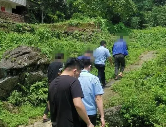 6只鹅1万多元！被偷了