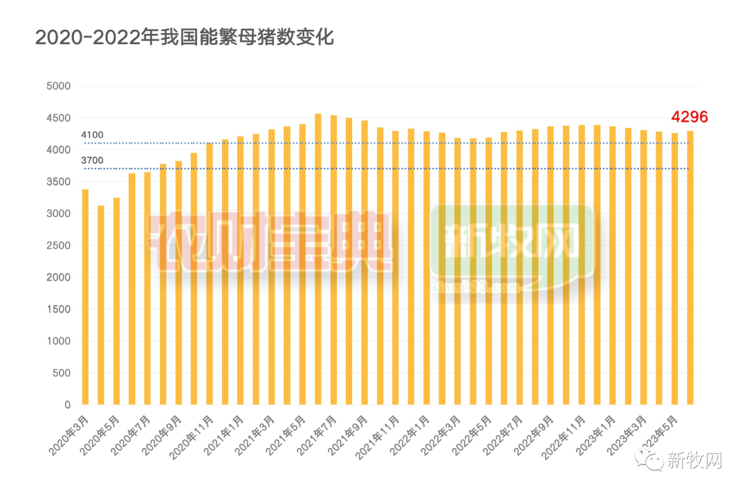 4296万头！能繁母猪连跌5个月后突然反弹？