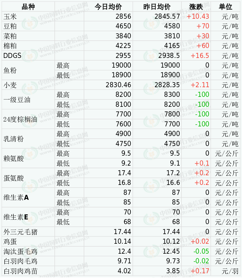 豆粕涨破4800元/吨！饲料最高涨1000元/吨