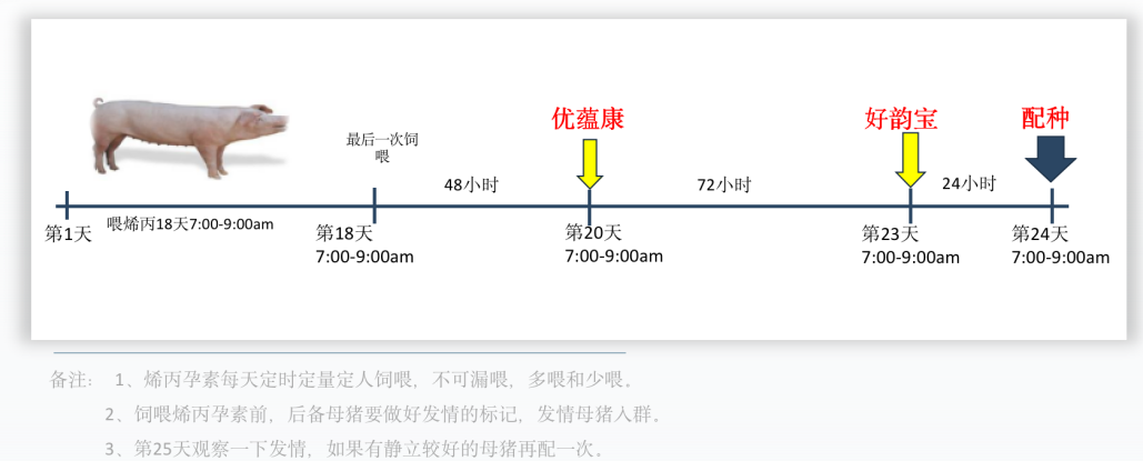 广州威生谢显泰：威一配®助力提升母猪繁殖效率