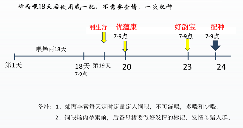 广州威生谢显泰：威一配®助力提升母猪繁殖效率