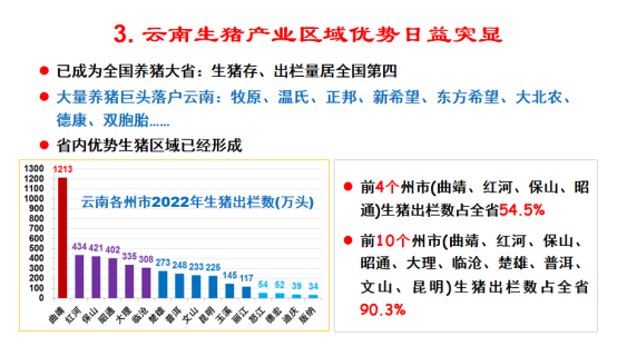 鲁绍雄：云南将打造中国优质种猪生产基地和重要生猪供应基地