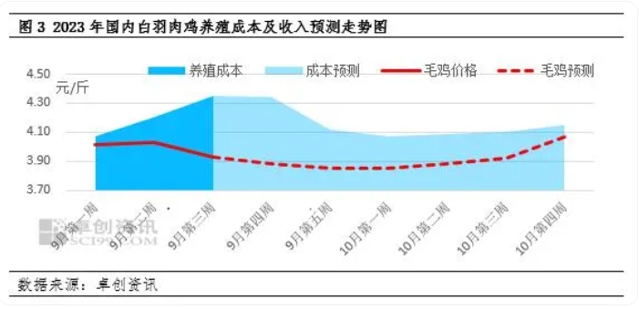 9月白羽肉鸡单只亏损最高超“3元”