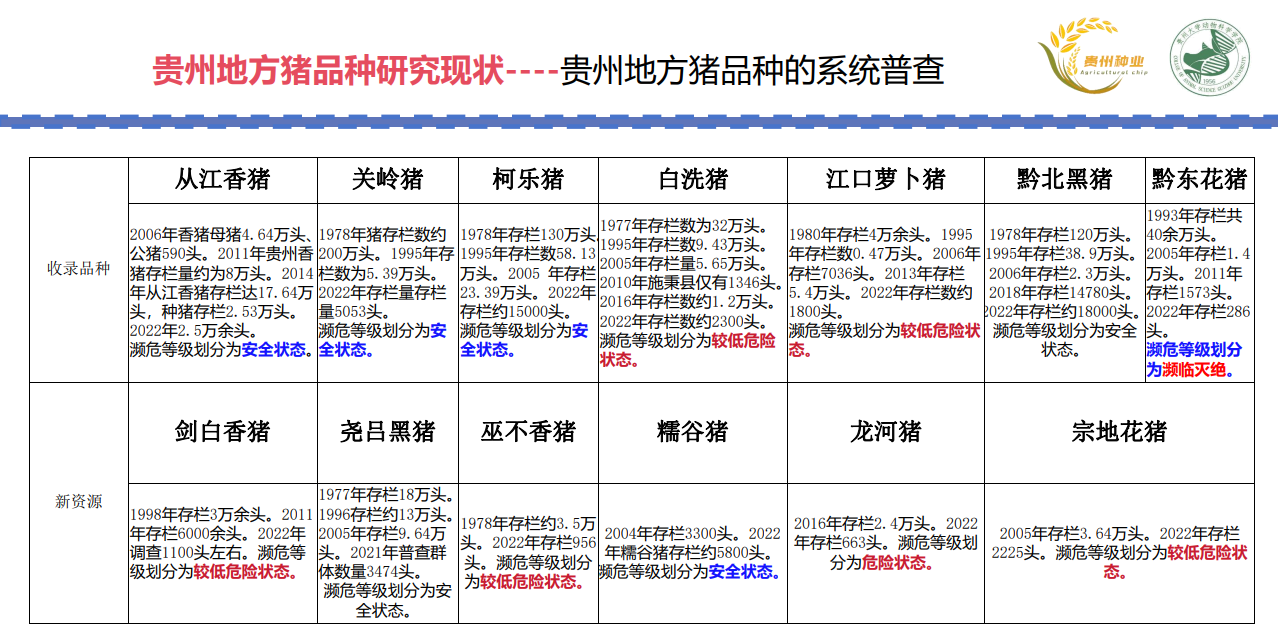 张依裕：贵州7个地方猪品种被列入国家畜禽资源名录，七大措施助力种业高质量发展