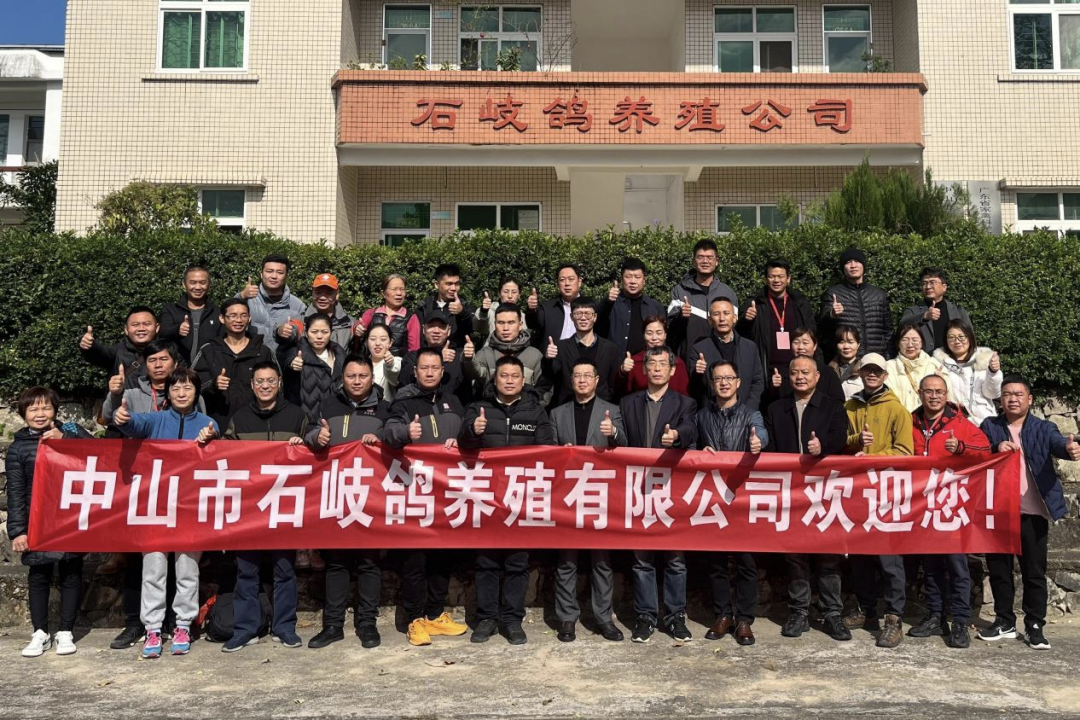 祝贺！800多人参加首届华南鸽业高质量发展大会！华南鸽业协同发展联盟成立