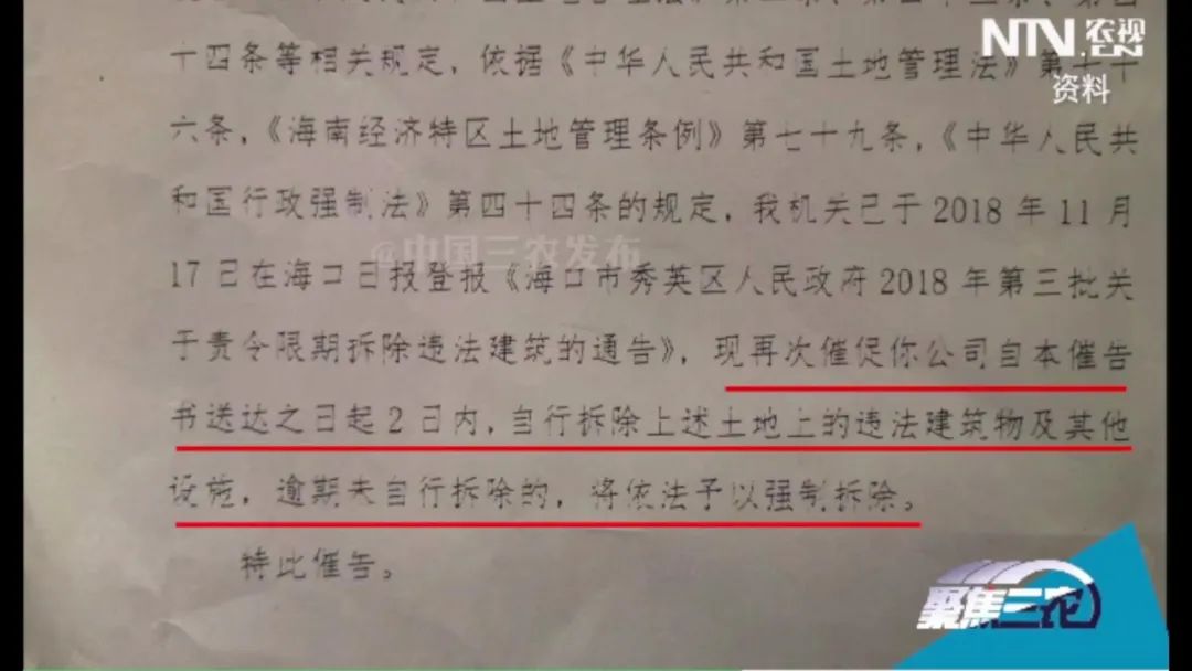 震惊！海口合法猪场被强拆损失巨大