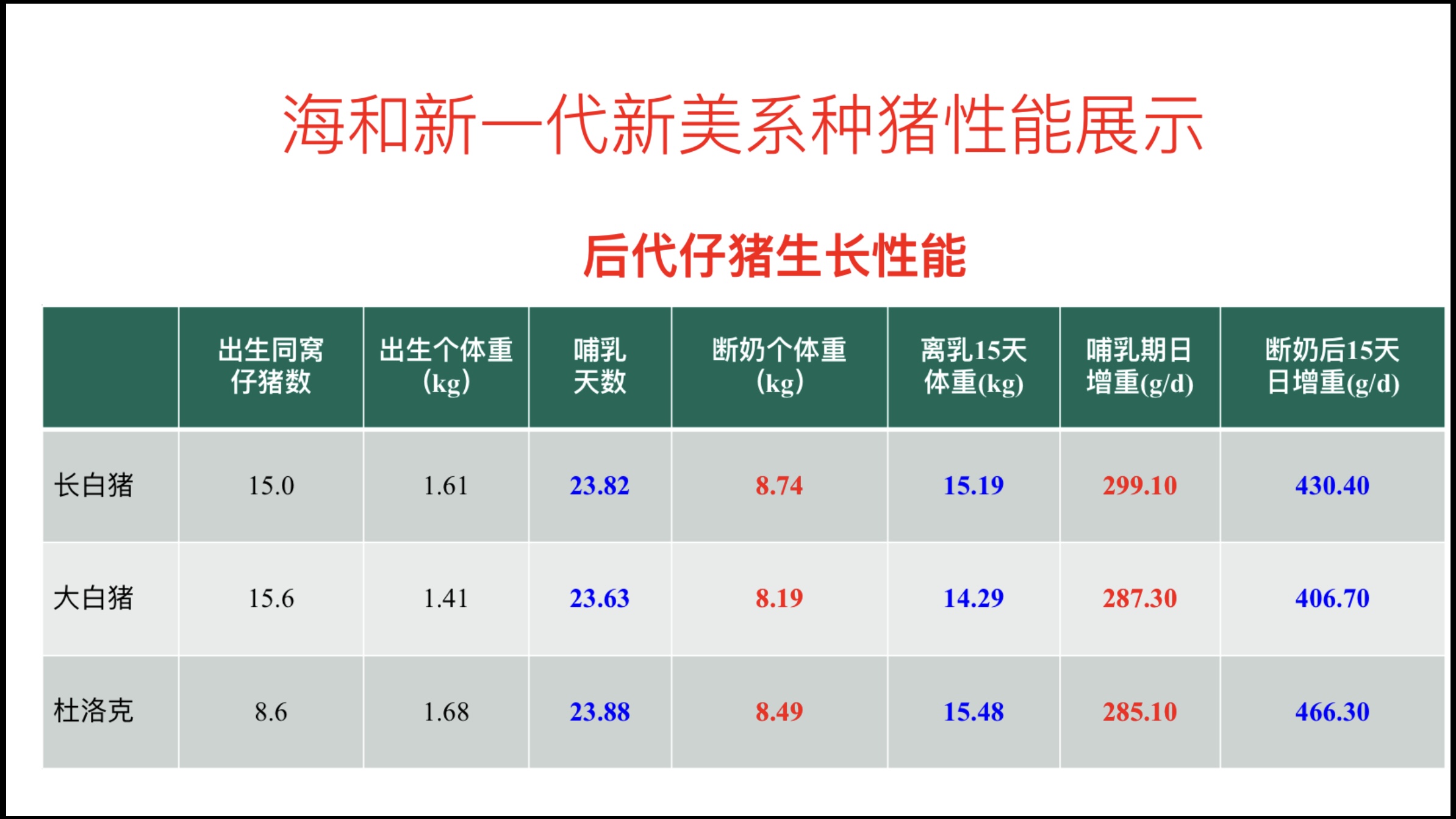 广西海和：原种基础母猪存栏7000头，新一代优质种猪将在3月上市