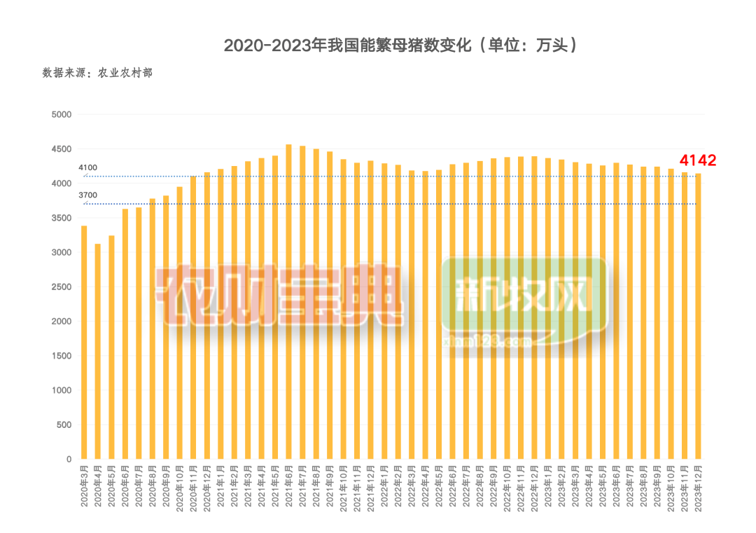 春节后标猪价格回调！但仔猪市场仍然“实涨”！看好五月后的猪价？