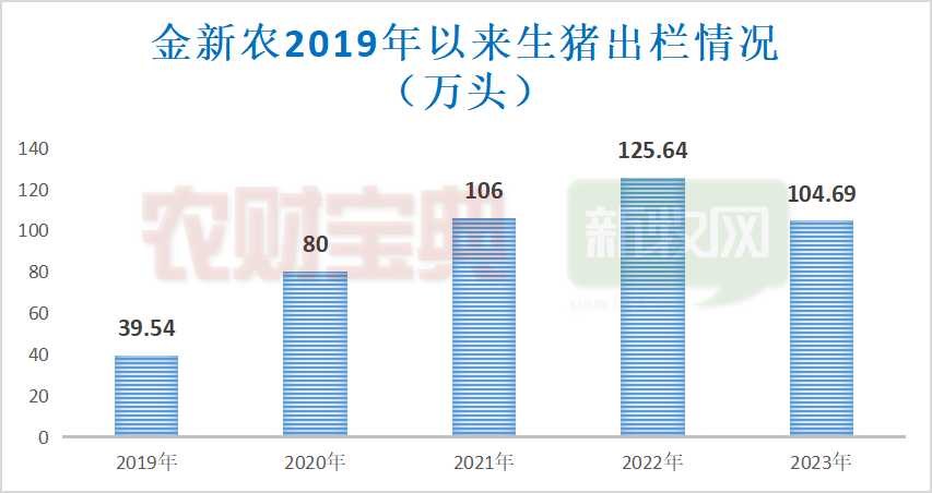 金新农：目前能繁母猪存栏量5.5万头，2024年目标成本15-15.5元/kg