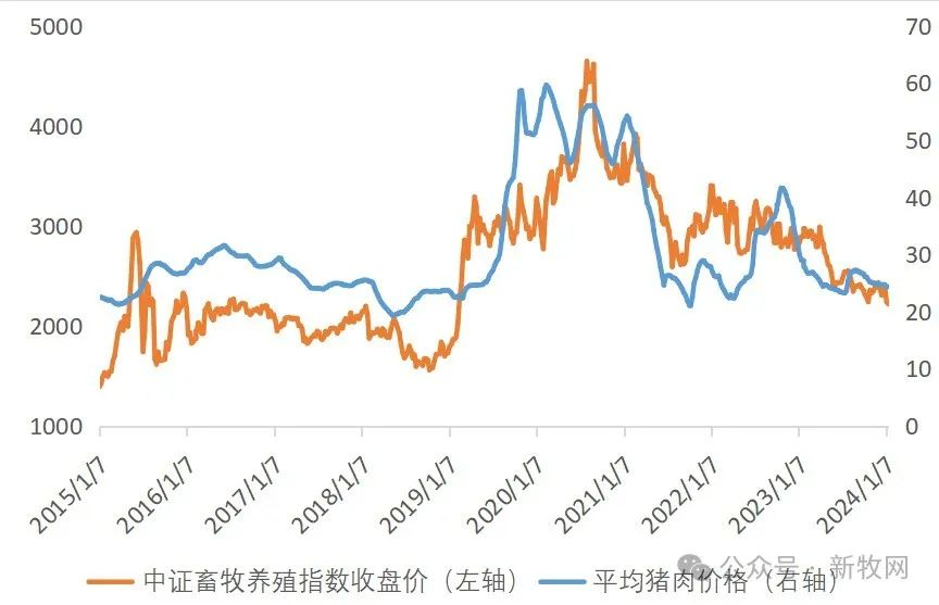 年后猪肉需求惯性回落，大猪价跌，仔猪价涨，后市将如何走？