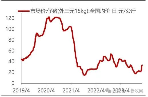 年后猪肉需求惯性回落，大猪价跌，仔猪价涨，后市将如何走？