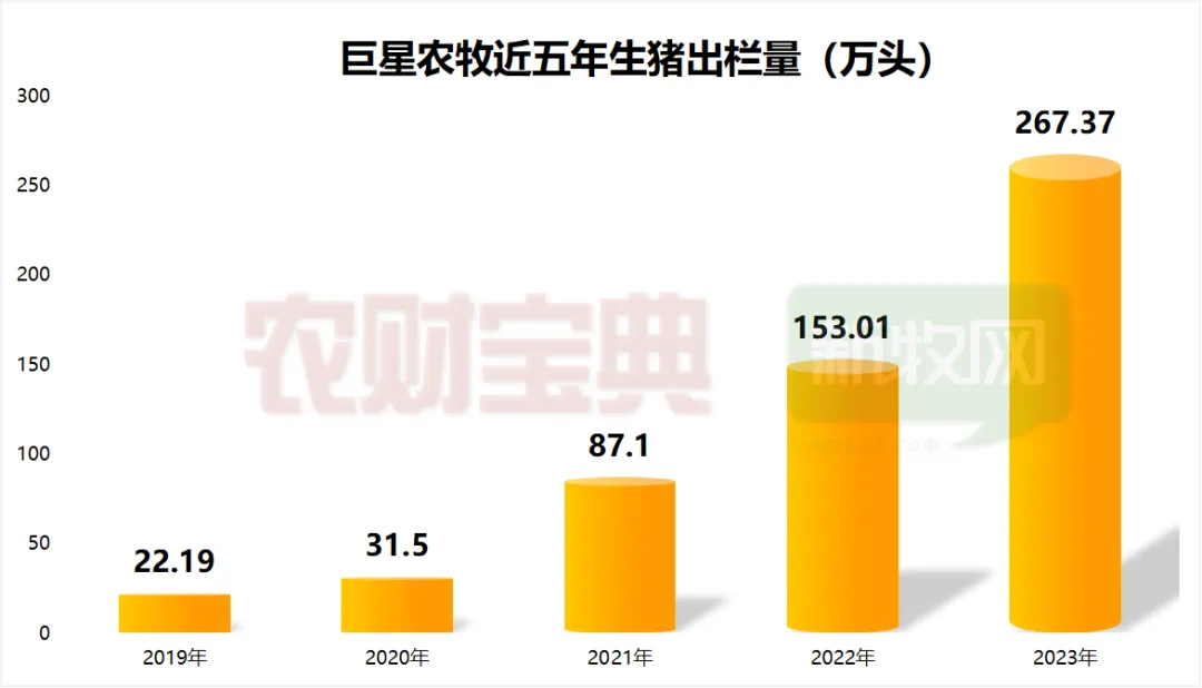 巨星农牧：巨星农牧连续三年出栏增速超70%