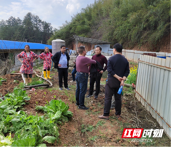 环保风暴再度来袭！多省开展畜禽养殖污染防治排查