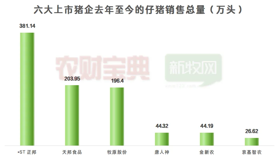 猪价将涨至9元？有养猪巨头仔猪销量飙升近3倍