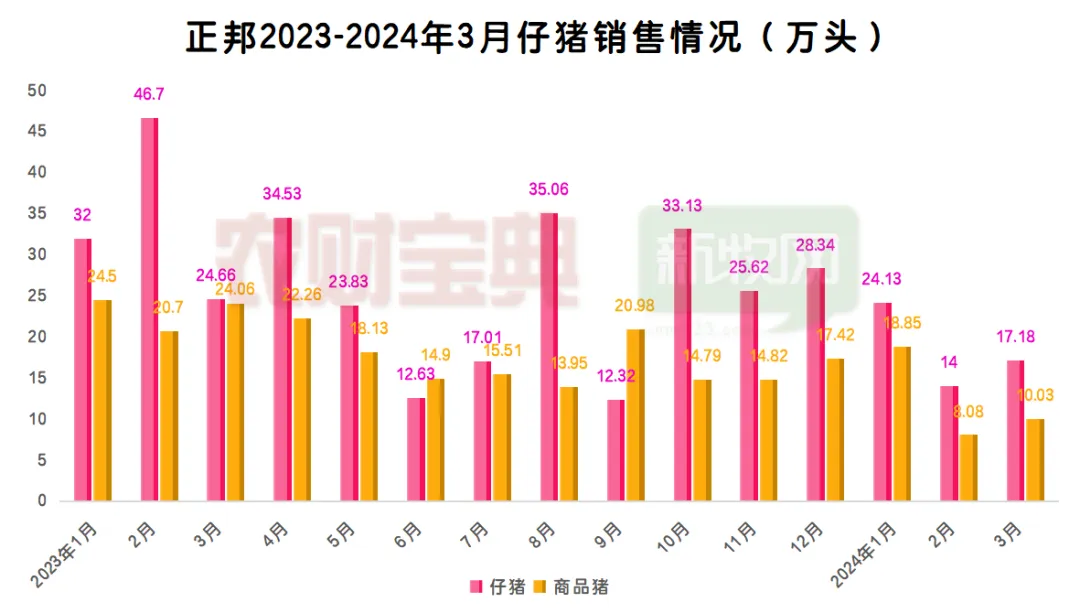 猪价将涨至9元？有养猪巨头仔猪销量飙升近3倍