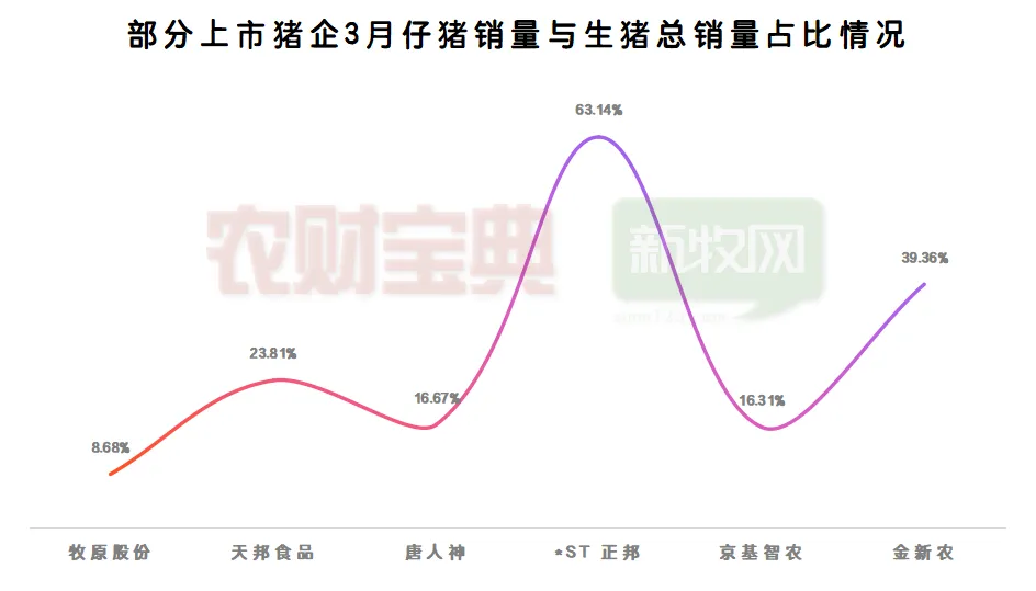 猪价将涨至9元？有养猪巨头仔猪销量飙升近3倍