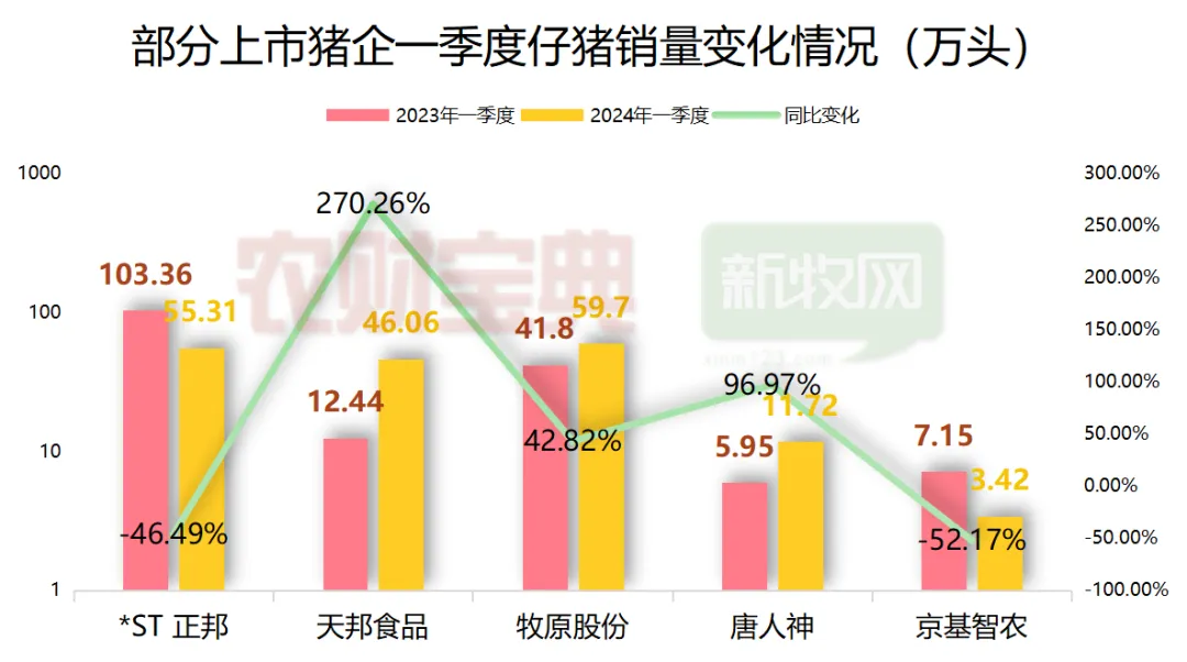 猪价将涨至9元？有养猪巨头仔猪销量飙升近3倍