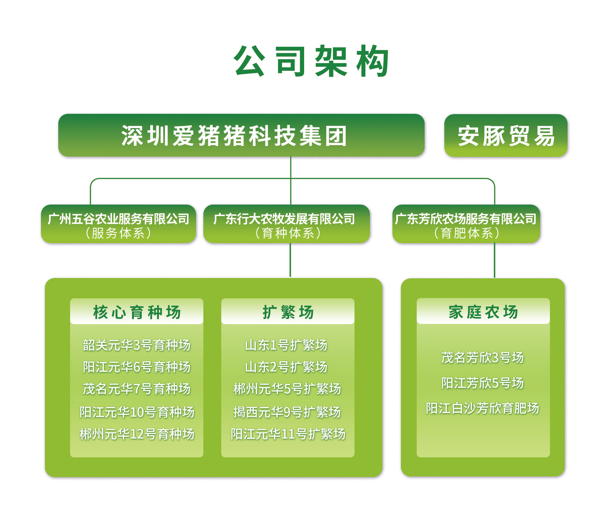 养殖“一条龙”服务，让小农户参与到农业现代化中